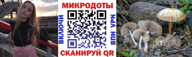 купить  сайты  Воронеж  Галлюциногенные грибы мухоморы 